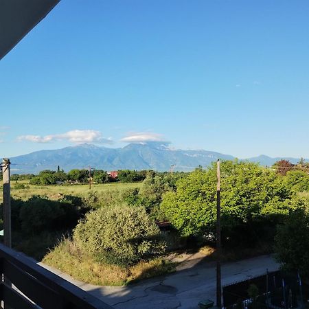 Villa Olympia Paralia Katerinis Bagian luar foto