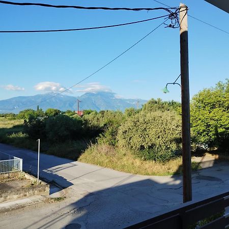 Villa Olympia Paralia Katerinis Bagian luar foto