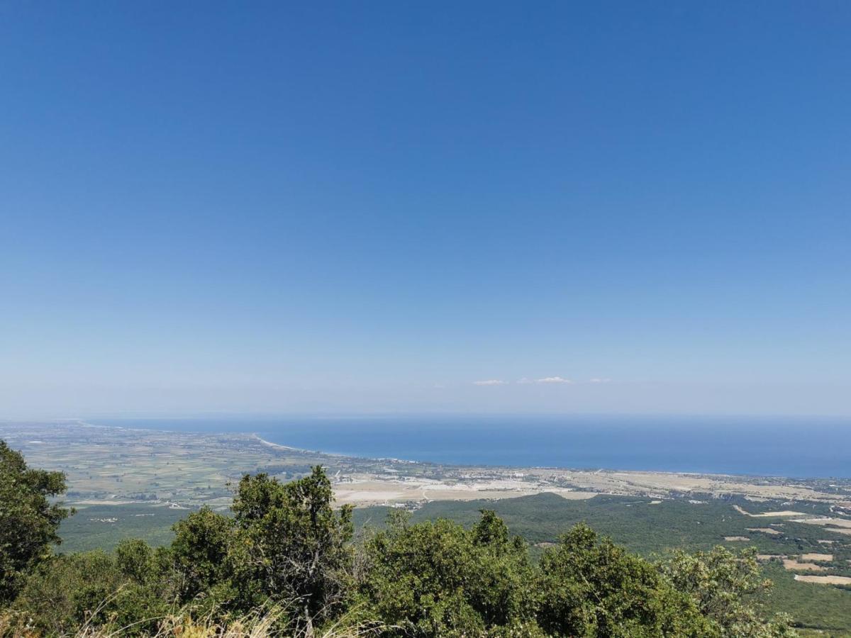 Villa Olympia Paralia Katerinis Bagian luar foto