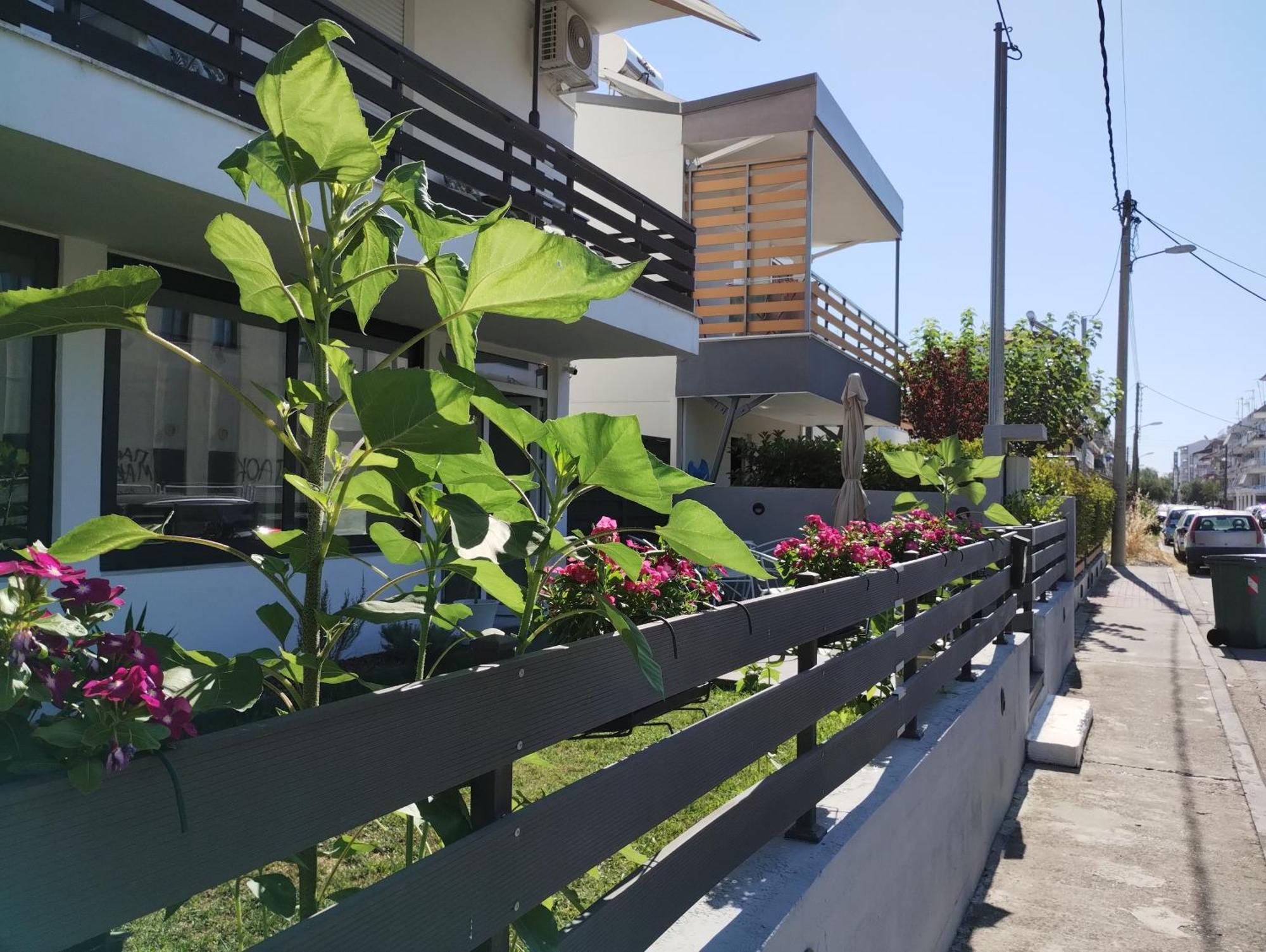 Villa Olympia Paralia Katerinis Bagian luar foto
