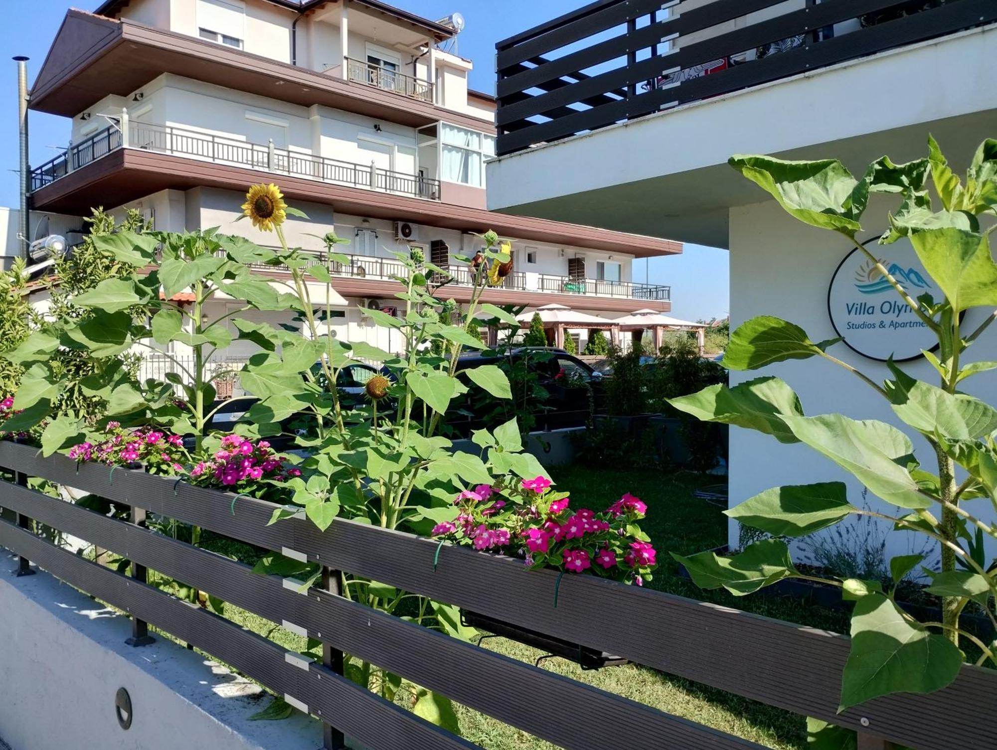 Villa Olympia Paralia Katerinis Bagian luar foto